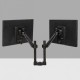 Flat Screen Holder - Double Arm